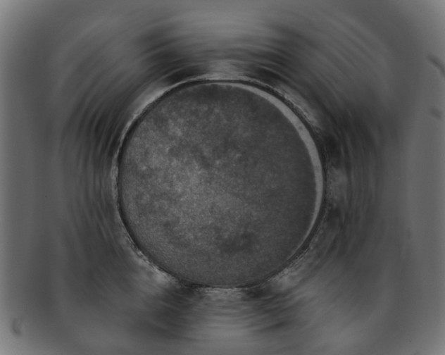 X0000092320856200709141412