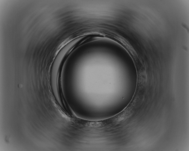 X0000092320858200709141412