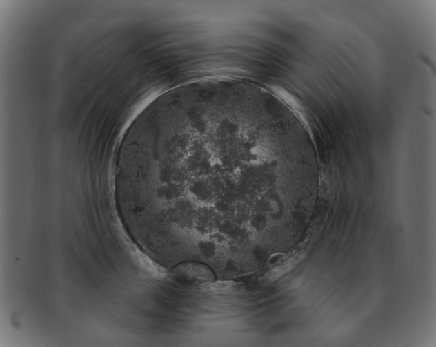 X0000092320859200709141412