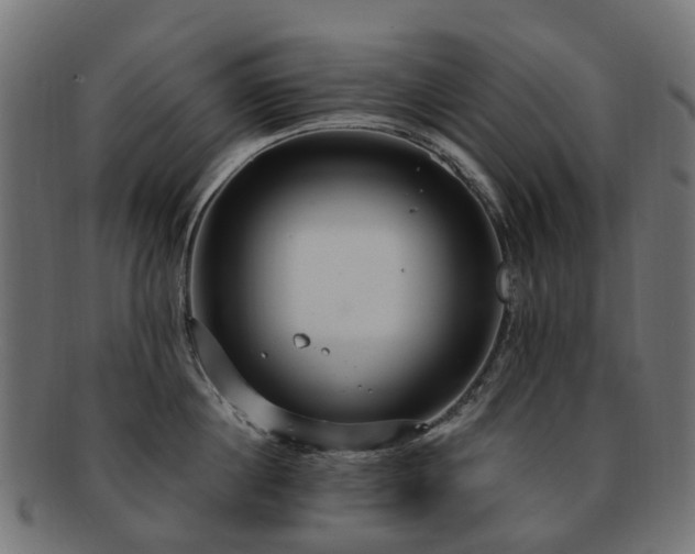 X0000092320860200709141412
