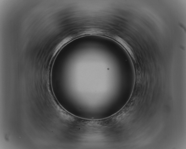 X0000092320861200709141412