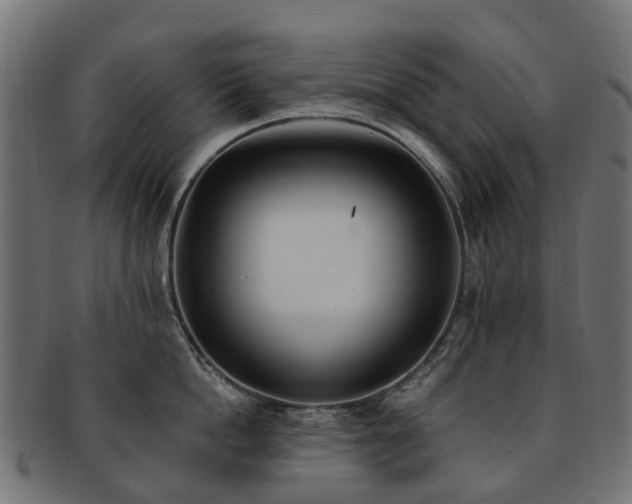 X0000092320862200709141412