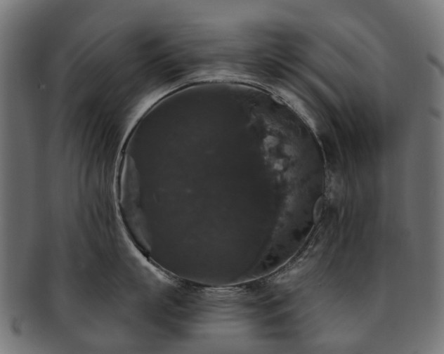X0000092320863200709141412