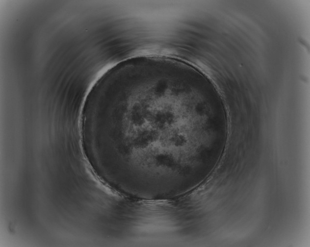 X0000092320864200709141412
