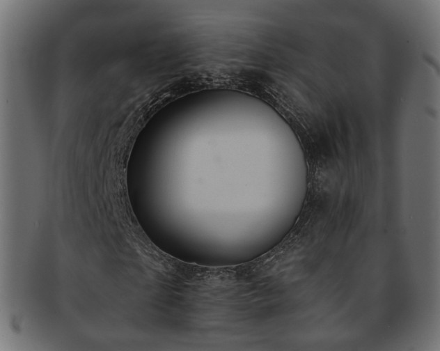 X0000092320865200709141411