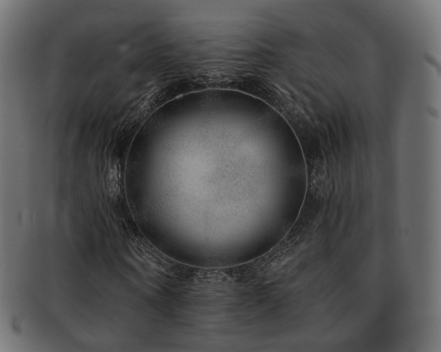 X0000092320866200709141411