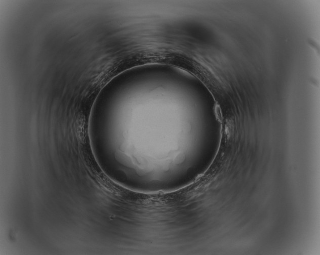 X0000092320867200709141411