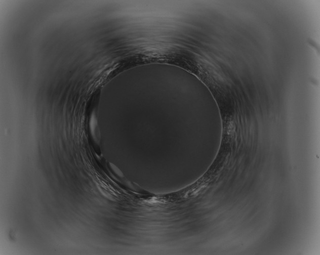X0000092320868200709141411