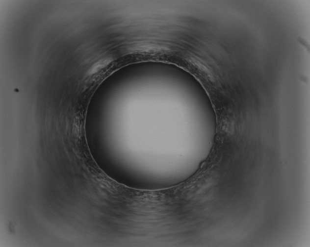 X0000092320869200709141411
