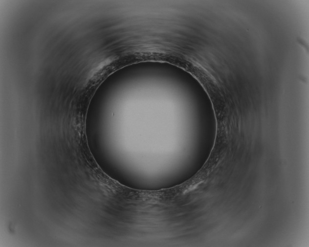 X0000092320870200709141411