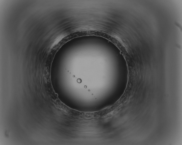 X0000092320871200709141411