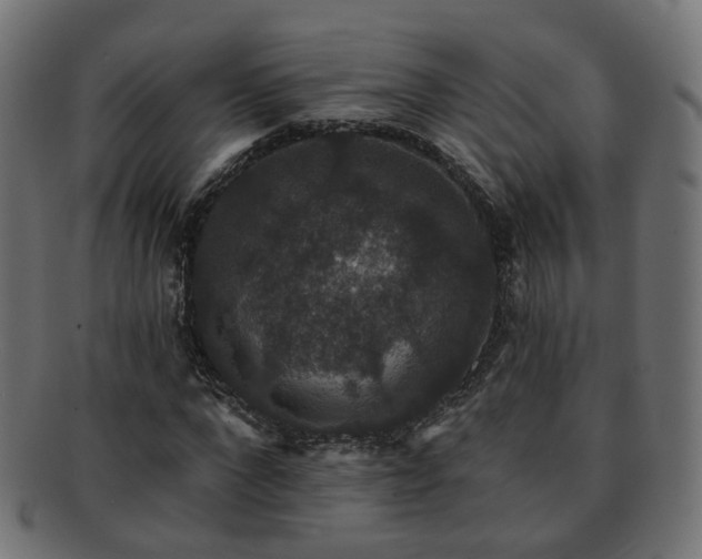 X0000092320872200709141411