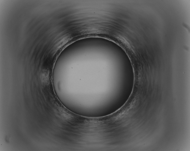X0000092320873200709141411
