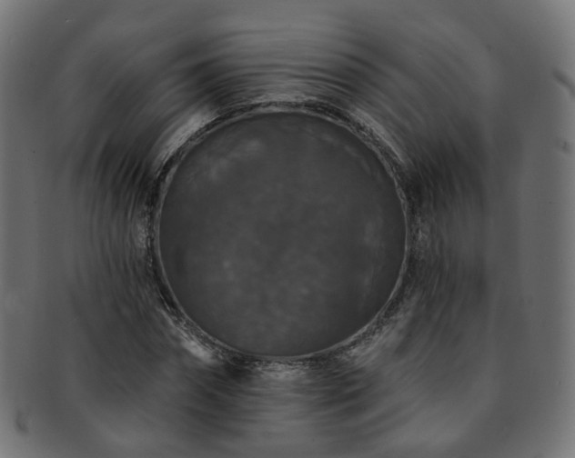 X0000092320874200709141411
