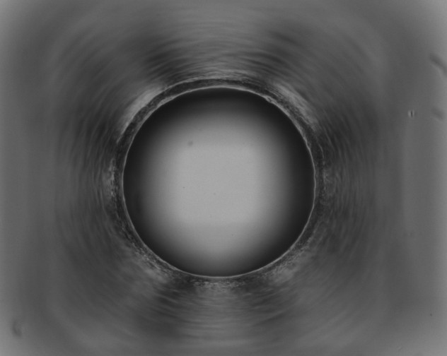 X0000092320875200709141411