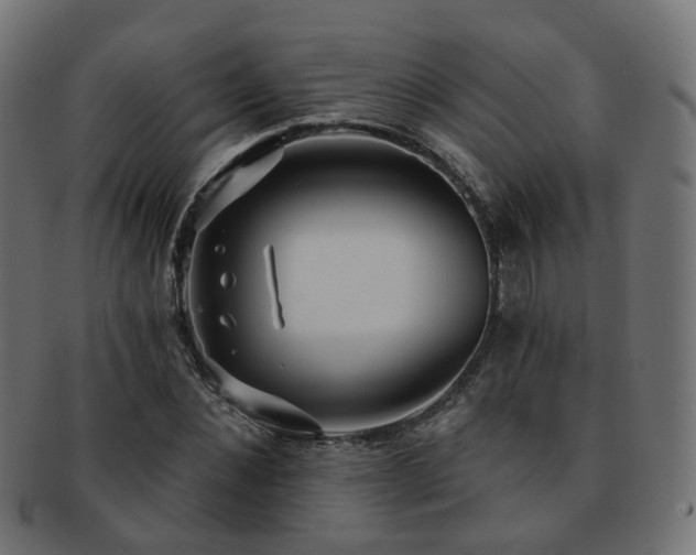 X0000092320876200709141411