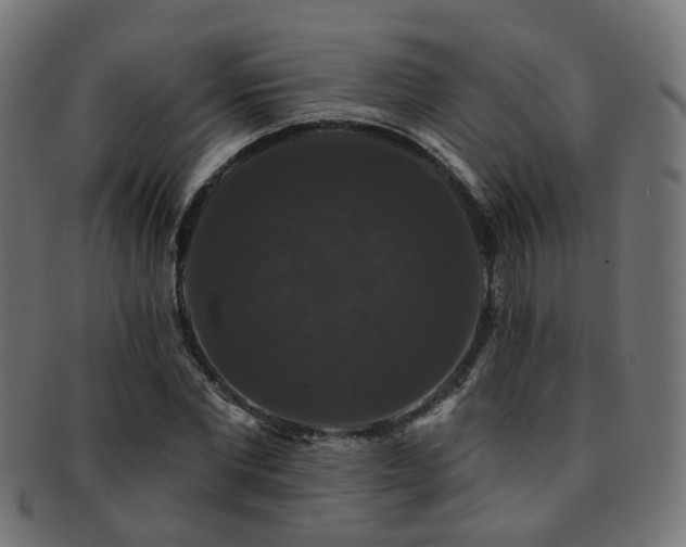 X0000092320877200709141411