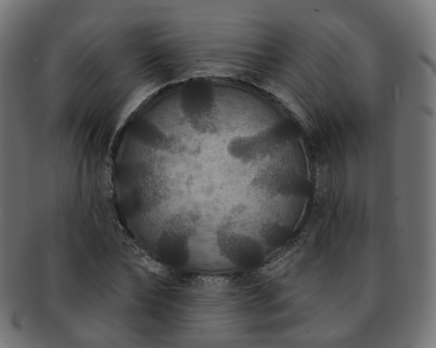 X0000092320878200709141411