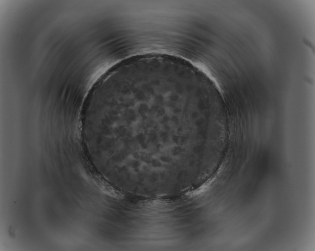 X0000092320879200709141411