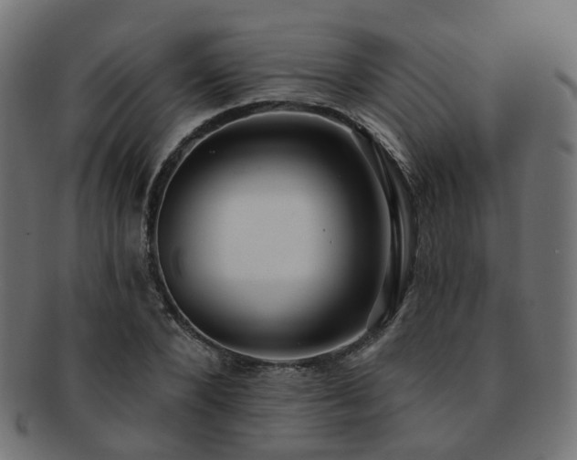 X0000092320880200709141411