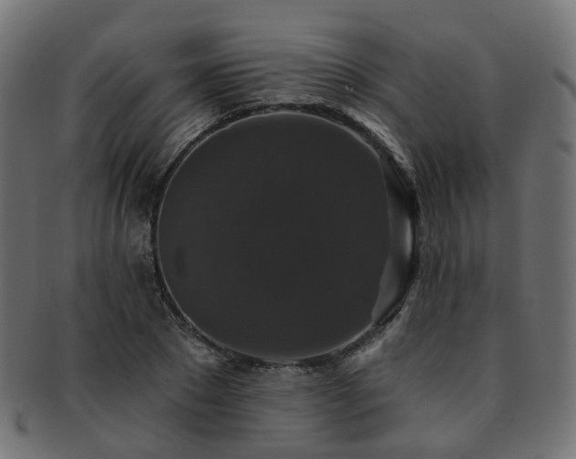 X0000092320881200709141411