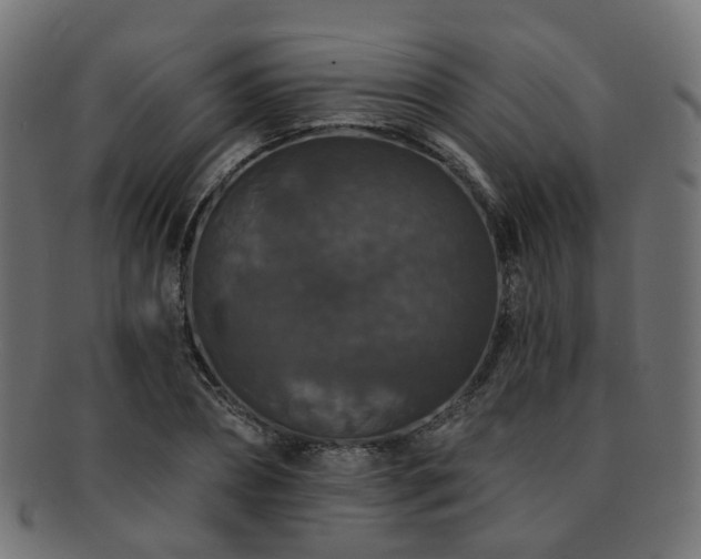 X0000092320882200709141411