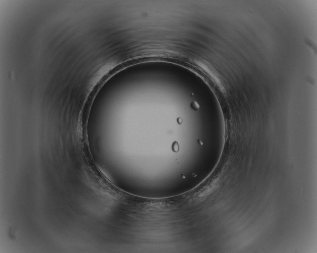 X0000092320883200709141411