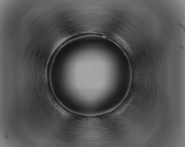 X0000092320884200709141411
