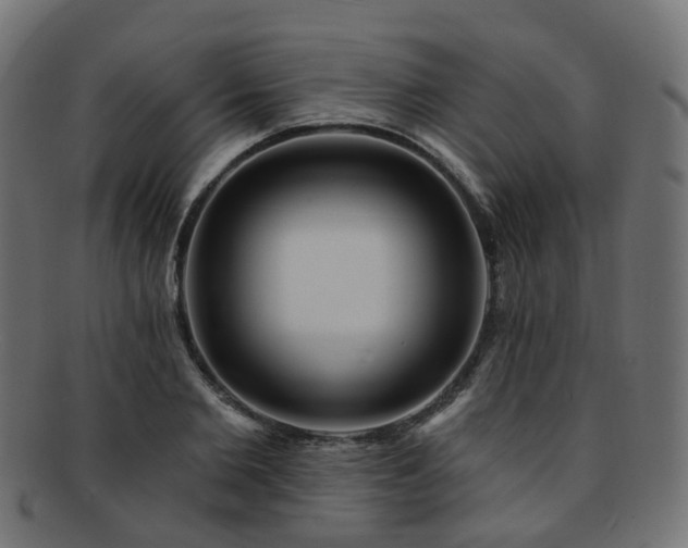 X0000092320885200709141411
