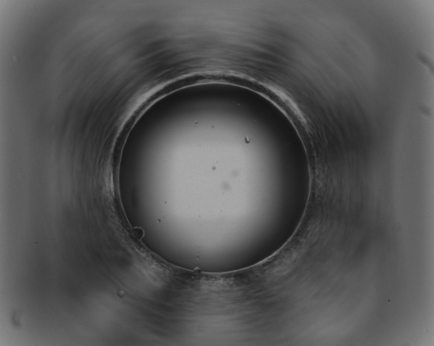 X0000092320887200709141411