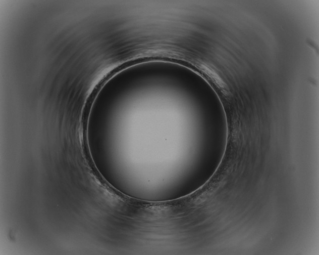 X0000092320888200709141411
