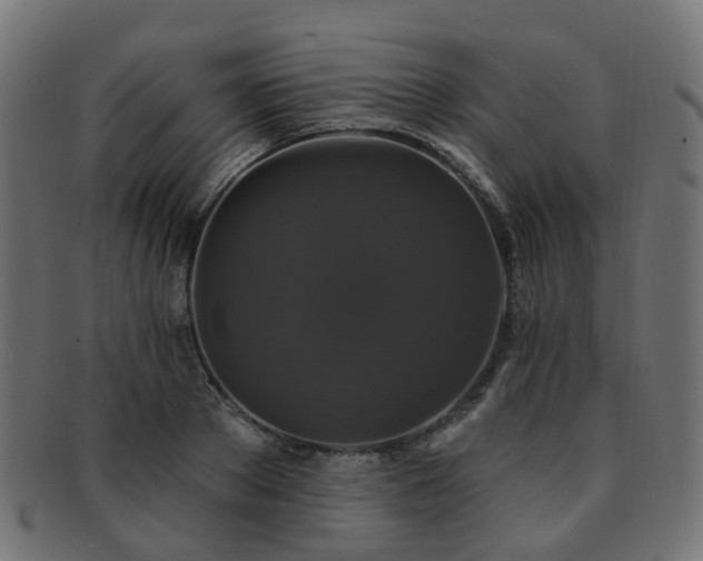 X0000092320889200709141411