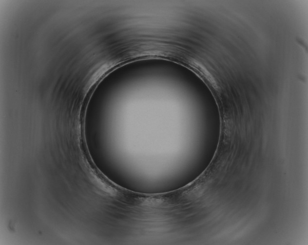X0000092320890200709141411