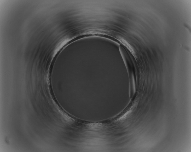 X0000092320893200709141411