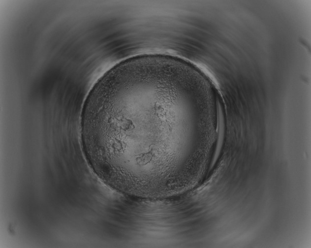 X0000092320895200709141411