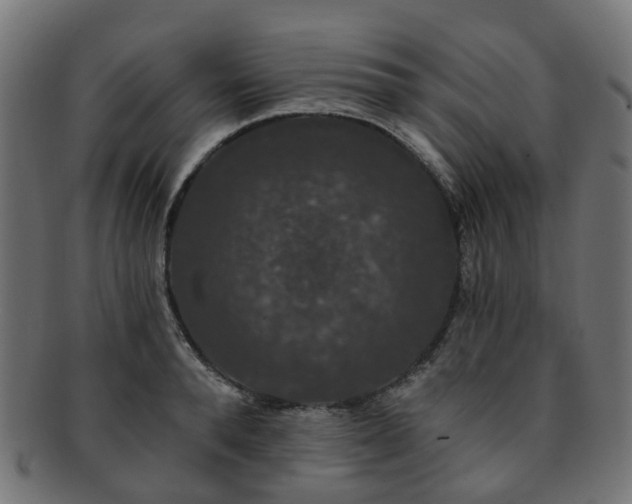 X0000092320896200709141411