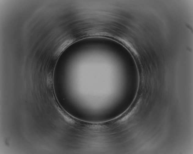 X0000092320897200709141411