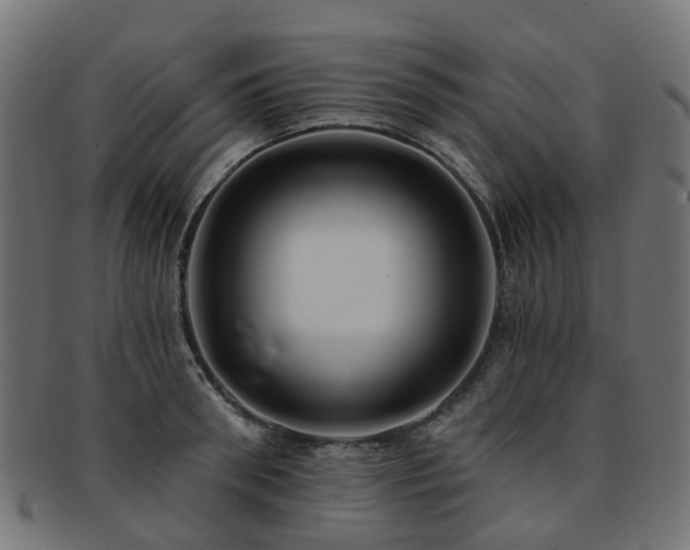 X0000092320898200709141411