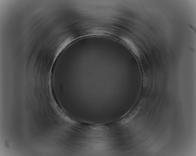 X0000092320899200709141411