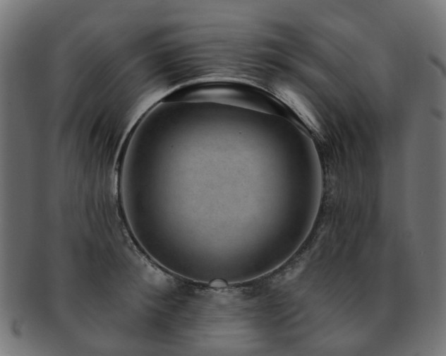X0000092320900200709141411