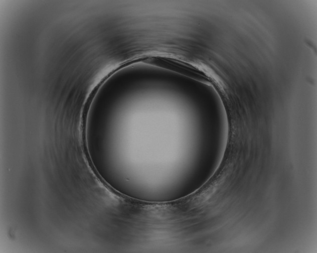 X0000092320902200709141411
