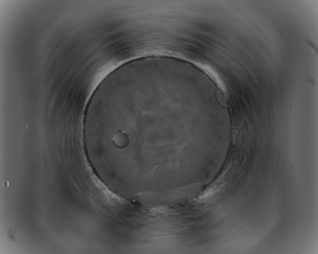 X0000092320903200709141411