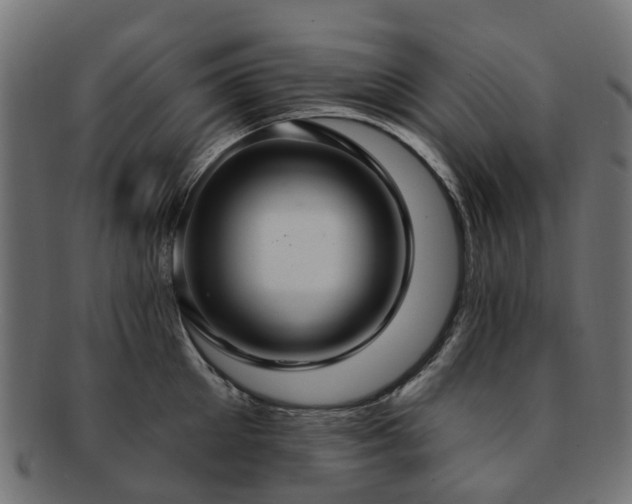 X0000092320905200709141411