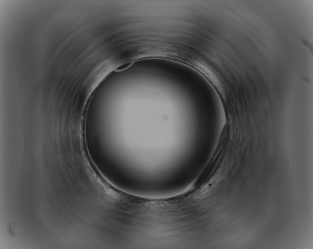 X0000092320906200709141411