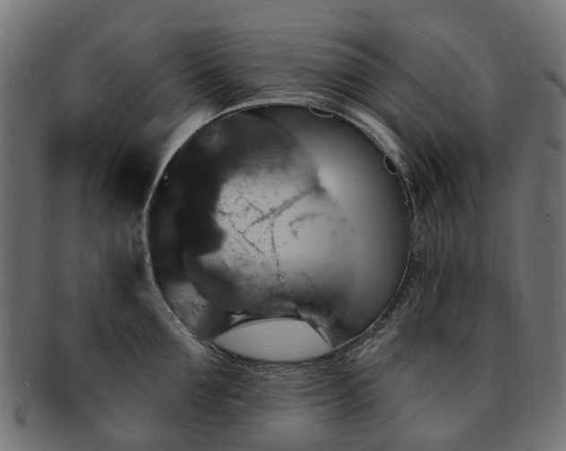 X0000092320907200709141411