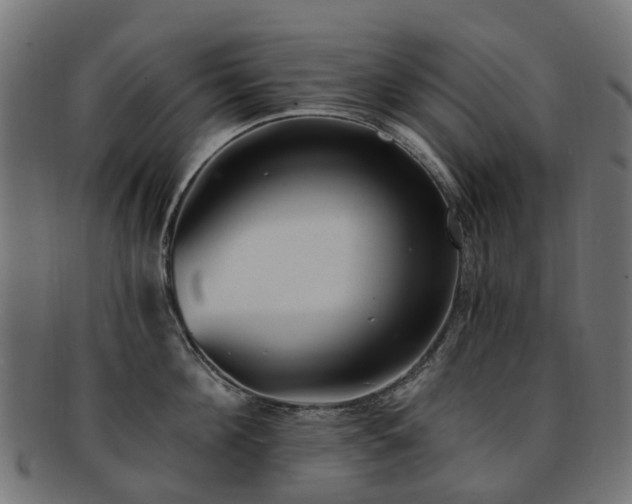 X0000092320908200709141411