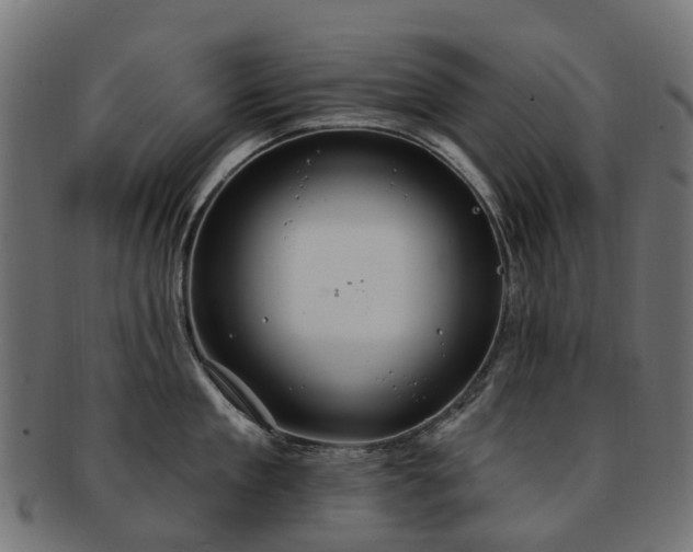 X0000092320909200709141411
