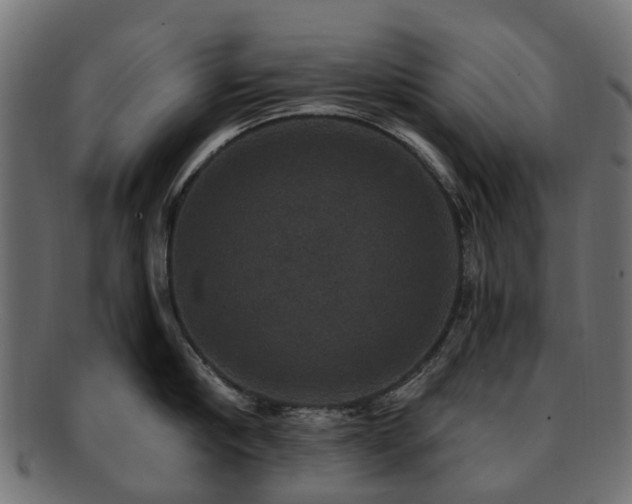 X0000092320910200709141411