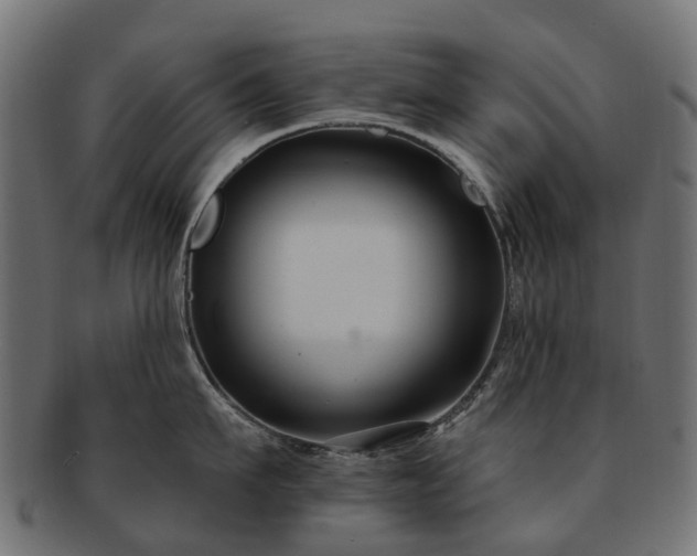 X0000092320911200709141411