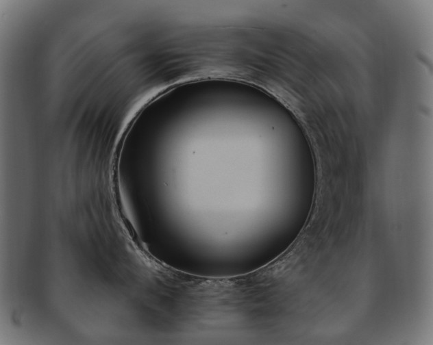 X0000092320912200709141411